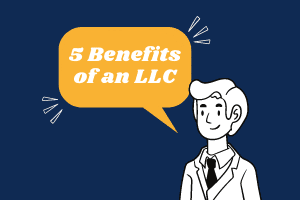 Top 5 Advantages of an LLC - Should You Form an LLC?