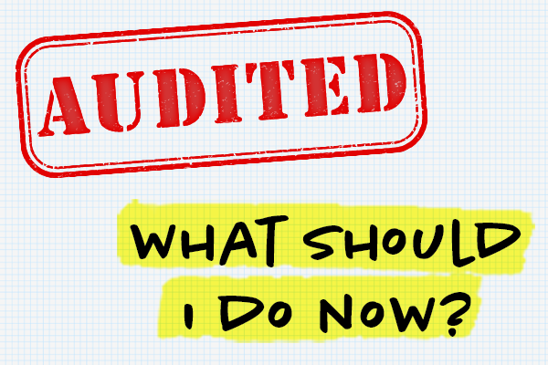 Illustration shows paper that's been stamped with the word "AUDITED" in bold, red letters. Highlighted, handwritten text underneath reads, "What should I do now?"