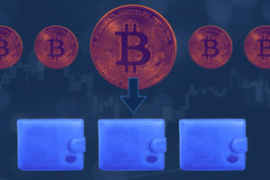 Graphic showing multiple Bitcoins and multiple wallets. An arrow shows one large Bitcoin being directed to a specific wallet.